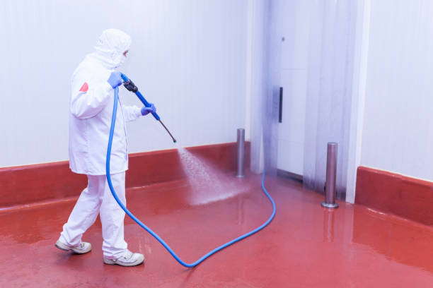 Professional  Pressure Washing Services in Yulee, FL